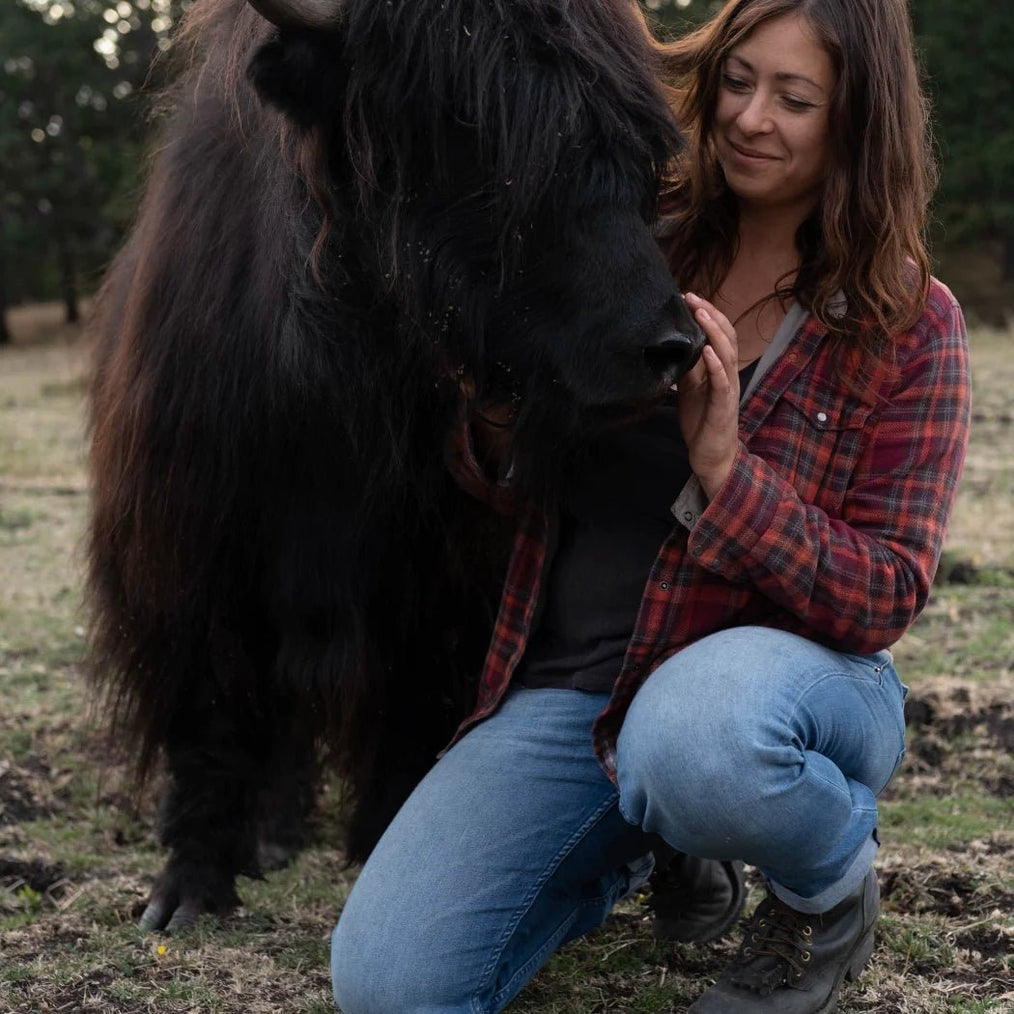 Yaks Tax: Financials - Firebird Farms